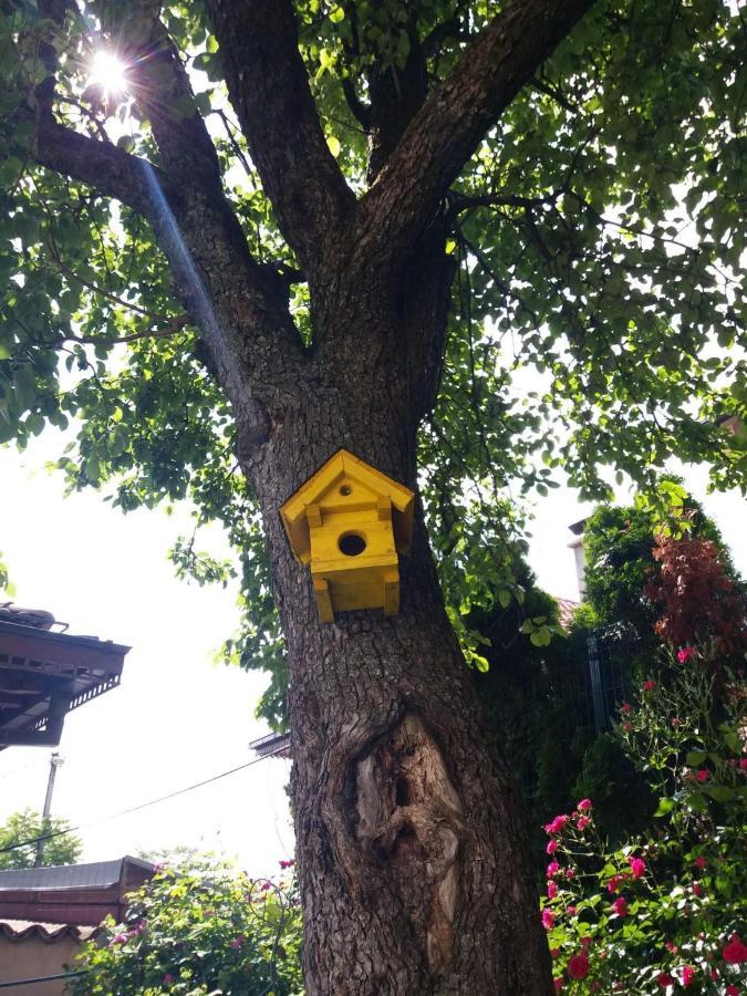Hedgehog'S Home - Jezeva Kucica Free Parking SJJ Exteriör bild