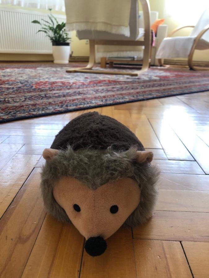 Hedgehog'S Home - Jezeva Kucica Free Parking SJJ Exteriör bild